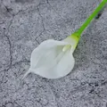 Naturgetreue mini weiße Calla-Lilie mit Textur und grünem Stiel für Wohndeko - Weiß