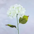 Einzelner weißer Hortensienstiel aus Seide mit realistischen Blüten und grünen Blättern - Weiß