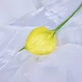 Einzelne künstliche Calla Lilie in Gelb auf weißem Seidensatin Hintergrund - Gelb