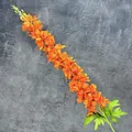 Dauphinelle artificielle orange vif réaliste pour décoration de mariage et maison - Orange