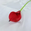 Einzelne rote künstliche Calla-Lilie mit grünem Stiel auf weißem Seidenstoff - Rot
