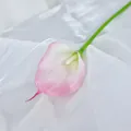 Elegante weiße Calla-Lilie mit rosa Rand auf Seide, naturgetreue Kunstblume - Rosa