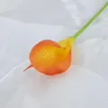 Einzelne künstliche Calla-Lilie mit orange-gelbem Farbverlauf auf weißer Seide - Sonnenuntergangsrot