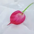 Lebensechte künstliche Calla-Lilie in Magenta mit realistischem grünem Kunststoffstiel - Rosenrot