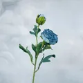 Artificial blue burnt edge rose with two heads and silk leaves for vintage home decor - Blue