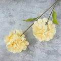Realistische cremeweiße Hortensie mit zwei Blütenköpfen und grünen Blättern Kunstblume - Champagner