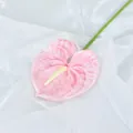 Fiore di anturio rosa artificiale realistico con foglia a cuore e spadice bianco - Rosa
