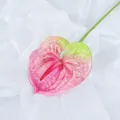 Anthurium artificiale sfumato rosa e verde con trama realistica su tessuto di seta - rosa acceso