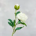 Artificial white peony stem with realistic petals and buds for home flower arrangements - White