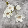 Rama de hibisco artificial en seda blanca con pétalos abiertos y tallo de madera natural - Blanco