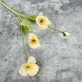 Amapola artificial de color blanco crema con múltiples cabezas para decoración hogar - Champaña