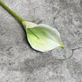 Künstliche weiße und grüne Calla-Lilie mit langem Stiel auf grauem Hintergrund - Grün