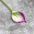 Lirio de cala artificial morado con pétalos degradados y tallo verde largo - Borde Púrpura