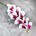 Branche d'orchidée artificielle avec pétales tachetés blanc et violet pour décor - N°12 Violet Pointillé