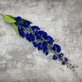 Artificial deep blue delphinium branch with green leaves on grey concrete background - Royal Blue
