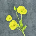 Stelo di papavero artificiale giallo con tre fiori realistici e un bocciolo morbido - Giallo