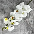 Elegante weiße künstliche Phalaenopsis Orchidee mit mehreren Blüten für die Deko - Nr. 2 Weiß mit grünem Zentrum
