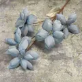 Dusty blue artificial flower branch with multi-head blooms on grey concrete texture - Blue