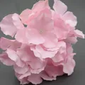 Künstliche Hortensie aus Seide mit zartrosa Blüten für Hochzeit und Heimdekoration - Ohne Stiel / Rosa