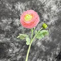 Pink gradient artificial Persian buttercup with one open bloom and a small bud - Light Pink