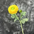 Artificial yellow Ranunculus flower spray with two vibrant silk bloom heads and green leaves - Yellow