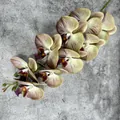 Artificial 9-head orchid stem in yellow-green with purple veins on textured background - No.6 Olive Green