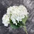 Single stem of high-quality white silk hydrangea flower for wedding and home decoration - White