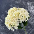 Creamy white artificial hydrangea stem with five heads and lifelike green leaves - Champagne