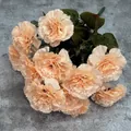 Artificial 13-head champagne carnation bouquet with realistic green leaves and silk petals - Nude