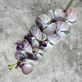 Single long stem orchid with ten grey-purple gradient 9-head butterfly orchid flowers - No.7 Peacock Blue