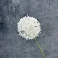 Witte kunstmatige sierui met ronde bloemkop en lange groene steel tegen grijze muur - Wit