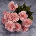 Artificial pink carnation bouquet with thirteen flower heads for home decoration - Cappuccino