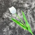 Einzelne weiße PU-Tulpe mit realistischer Textur und frischem grünem Stiel - Reinweiß