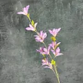 Artificial purple rain lily silk flower with lifelike yellow stamens and green leaves - Purple