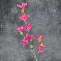 Pink artificial rain lily branch with multiple blooming heads and green leaves - Rose Red