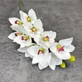 Κλαδί λευκής ορχιδέας cymbidium με 3D εκτύπωση και ρεαλιστικές ροζ-μοβ λεπτομέρειες - Λευκό