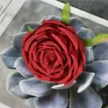 Künstlicher roter Rosenblütenkopf mit grünen Blättern auf blauem Sukkulenten-Hintergrund - Rot