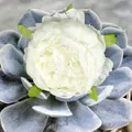 Tête de pivoine artificielle blanche avec feuilles vertes pour accessoires de cheveux - Blanc