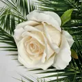 Artificial matte fabric rose in creamy white finish with green leaf for wedding decor - Champagne
