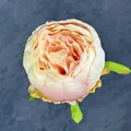 Kunstmatige pioenbloem met roze oranje verloop voor DIY hanfu haaraccessoires - Roze Champagne