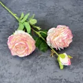 Kunstmatige 3-koppige pioenroos tak met roze-witte verloopblaadjes en realistische bladeren - Roze Rand