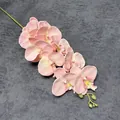 Realistische hellrosa künstliche Orchidee mit zarten Blütenblättern und Details - Rosa Champagner