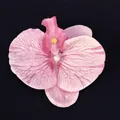 Pink artificial orchid flower head with realistic veins for DIY wedding decorations - Phalaenopsis Flower Head - Large / 11.5CM / Fuschia