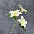 Tige unique de lys blanc réaliste à 3 têtes avec dégradé jaune naturel au centre - Blanc