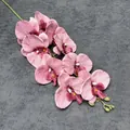 Realistische rosa Schmetterlingsorchidee mit 3D-Druck, lila Adern und gelbem Zentrum - Rosa