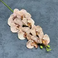 Einzelner rosa Vintage 3D-Druck Seidenorchideen Zweig mit 9 Köpfen für Hochzeiten - Hellkaffee