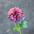 Dark Purple