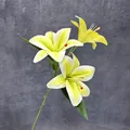 Branche de lys jaune 3D réaliste avec trois têtes fleuries et gouttes d'eau douces - Light jaune