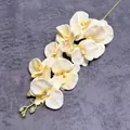 Realistische 3D-gedruckte 9-Kopf Phalaenopsis Orchidee in Cremeweiß für Dekoration - Champagner