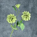 Artificial light green dahlia spray with two blooms and one bud for home decor - Green